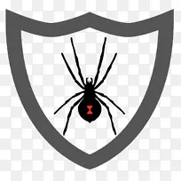 ���֩������ԳƼ�����֩��-������