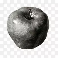 u5b9eu9a8cu7d20u63cf»¾²Îï»ËØÃè-Æ»¹ûËØÃè-¿ÕÈôÍø u5b9eu9a8cu7d20u63cf»¾²Îï»ËØÃè-Æ»¹ûËØÃè-¿ÕÈôÍø