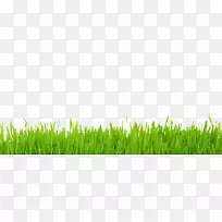 ��ƺ����Ӱ-��ƺ-������