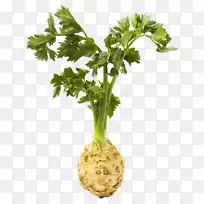 无公害蔬菜-空若网 无公害蔬菜-空若网