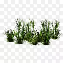 ²Ý¼ôÌù»-§á§â§Ú§â§à§Õ§Ñ-¿ÕÈôÍø ²Ý¼ôÌù»-§á§â§Ú§â§à§Õ§Ñ-¿ÕÈôÍø