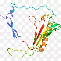 线点生物剪贴画线-空若网 线点生物剪贴画线-空若网