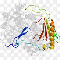 线点生物剪贴画线-空若网 线点生物剪贴画线-空若网