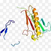 线点生物剪贴画线-空若网 线点生物剪贴画线-空若网