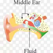 ���Ǽ��������-������