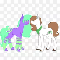 猫科动物犬-猫-空若网 猫科动物犬-猫-空若网