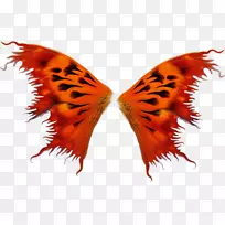 �����������-�����ĳ��-������