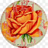 花卉切花花瓣-古董钟-空若网 花卉切花花瓣-古董钟-空若网