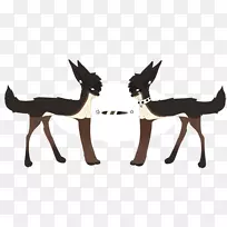 马,驯鹿,羚羊,动物,野生动物.马-空若网 马,驯鹿,羚羊,动物,野生动物.马-空若网