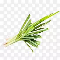 ����������ʿ�˾²����ʲ���Ʒ-��é(Cymbopogon Citratus)-������