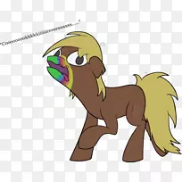 猫毛犬科动物狗-猫-空若网 猫毛犬科动物狗-猫-空若网