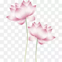 莲花车水百合莲花效果摄影.水百合-空若网 莲花车水百合莲花效果摄影.水百合-空若网