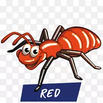 昆虫传粉器线剪贴画昆虫-空若网 昆虫传粉器线剪贴画昆虫-空若网