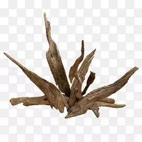 浮木-空若网 浮木-空若网