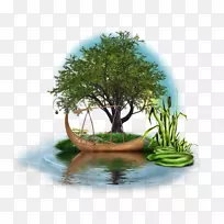 盆栽树-空若网 盆栽树-空若网