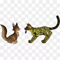 猫爪尾野生动物-猫-空若网 猫爪尾野生动物-猫-空若网