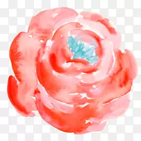 Ë®²Ê»¼ôÌù».ºìɫˮ²Ê»»¨-¿ÕÈôÍø Ë®²Ê»¼ôÌù».ºìɫˮ²Ê»»¨-¿ÕÈôÍø