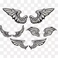 天使翅膀创意羽毛-创意翅膀-空若网 天使翅膀创意羽毛-创意翅膀-空若网