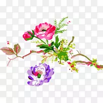 花卉设计图-空若网 花卉设计图-空若网