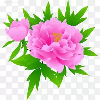 ĵ������ĵ��-������