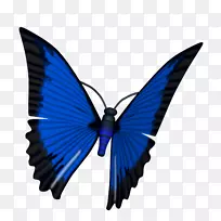 ����ë���׵ĺ���������Ӱ��ά�����ͼ�ε��Զ�������-������