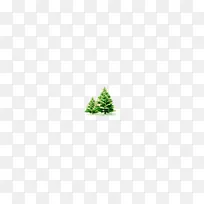 绿纹雪松-空若网 绿纹雪松-空若网