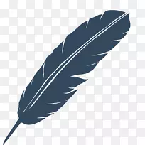 博客羽毛视频网站-羽毛黑色-空若网 博客羽毛视频网站-羽毛黑色-空若网