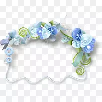 蓝色玫瑰花博客-玫瑰-空若网 蓝色玫瑰花博客-玫瑰-空若网