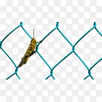 周界铁丝网昆虫围栏-空若网 周界铁丝网昆虫围栏-空若网