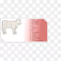 纸智人品牌设计-空若网 纸智人品牌设计-空若网