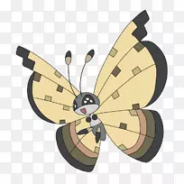 蝴蝶沙尘暴比利克兰斯顿线-蝴蝶-空若网 蝴蝶沙尘暴比利克兰斯顿线-蝴蝶-空若网