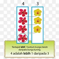 开花植物-空若网 开花植物-空若网