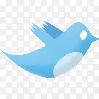 电脑图标博客鸟图形设计师剪贴画鸟-空若网 电脑图标博客鸟图形设计师剪贴画鸟-空若网