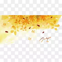 水彩画摄影插图.黄叶-空若网 水彩画摄影插图.黄叶-空若网