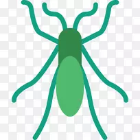 ���洲���װ�ĸ���-����-������