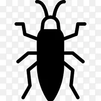 昆虫电脑图标跳蚤剪贴画昆虫-空若网 昆虫电脑图标跳蚤剪贴画昆虫-空若网