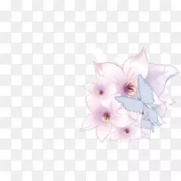 花卉设计切花粉红m花瓣设计-空若网 花卉设计切花粉红m花瓣设计-空若网