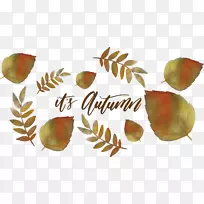 ˮ�ʻ���Ҷ������Ҷˮ�ʻ���Ҷ-������