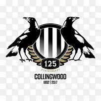 2018年科林伍德足球俱乐部赛季西太平洋中心2017年科林伍德足球俱乐部赛季-空若网 2018年科林伍德足球俱乐部赛季西太平洋中心2017年科林伍德足球俱乐部赛季-空若网