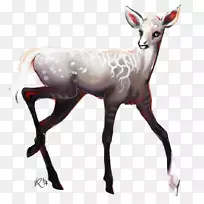 驯鹿羚羊陆地动物野生动物驯鹿-空若网 驯鹿羚羊陆地动物野生动物驯鹿-空若网