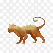 猫狗犬科陆生动物鼻子-猫-空若网 猫狗犬科陆生动物鼻子-猫-空若网