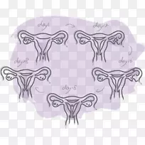 食肉视觉艺术鼻子素描.鼻子-空若网 食肉视觉艺术鼻子素描.鼻子-空若网