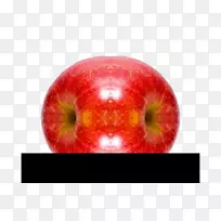 ����ƻ������-��ƻ��-������