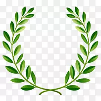 �����¹𻨻�������-��ɫ��ƽ���֦-������