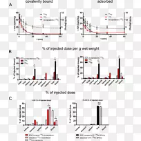 �������׿������⵰��ת������-Ѫ�۷���-������