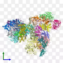 ͼ������������-������