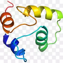 �����鱦�߼�������-������