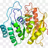 有机体线体珠宝剪贴画线-空若网 有机体线体珠宝剪贴画线-空若网