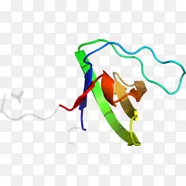 手指有机体线剪贴画线-空若网 手指有机体线剪贴画线-空若网