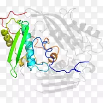 人类行为线有机体点线-空若网 人类行为线有机体点线-空若网